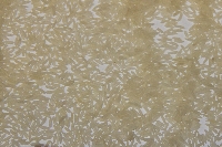 100% pure Thai jasmine rice,0% broken, old crop